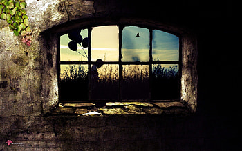 Art, Leaves, Stone, Window, Lattice, Trellis, Locked, Locked Up HD wallpaper