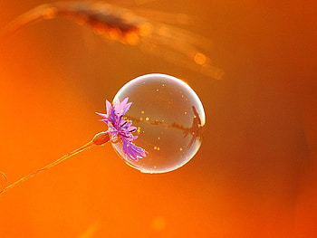 Beauty Of Nature, cool HD wallpaper