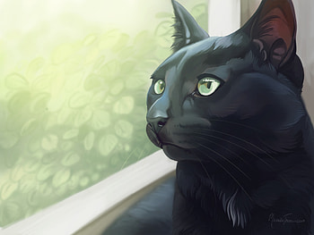 Art, Cat, Sight, Opinion, Window HD wallpaper