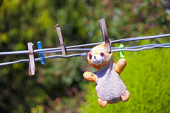 bear, summer, toy HD wallpaper