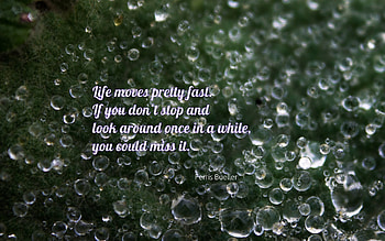 Life Moves Pretty Fast. HD wallpaper