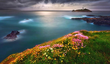 Sunrise over the Ocean, Flowers, Nature, Sunrise, Ocean HD wallpaper