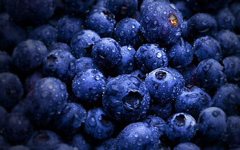 blueberry backgrounds, Rich colors, Vibrant ry, perfection HD wallpaper