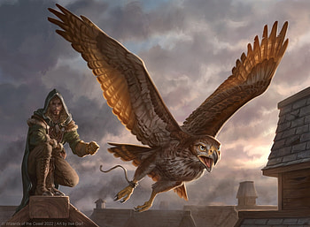 Scouting Hawk, bird, hawk, ilse gort, man, fantasy HD wallpaper