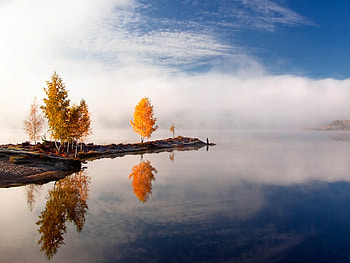 In Clouds, , clouds, trees, cool, lake HD wallpaper