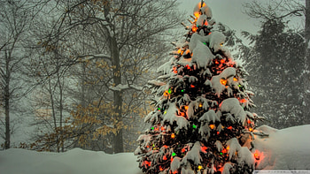 christmas_tree_outside-- Â· Hanging Christmas Balls HD wallpaper