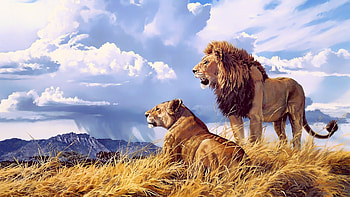 Lion Lioness Artwork , lion, artwork, animals HD wallpaper