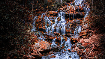 Beautiful Waterfall From Rocks Dry Leaves Trees Forest Background Nature HD wallpaper