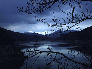 Blue calm, blue, hills, branches, water, calm, lake, evening HD wallpaper