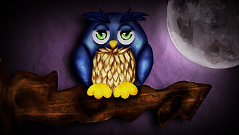 owl :D, animal, purple, cute, owl HD wallpaper