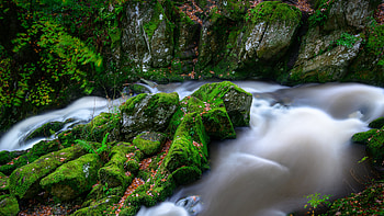 Stream, green rocks, moss, forest HD wallpaper