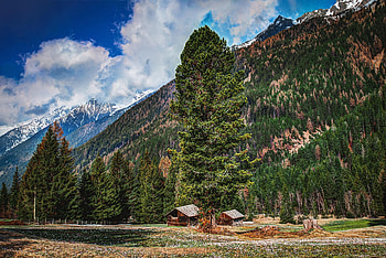 Nature, Trees, Mountains, Forest, Buildings HD wallpaper