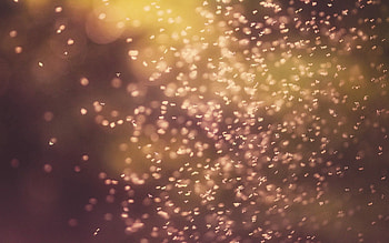 Macro, Glare, Shine, Light, Bright HD wallpaper