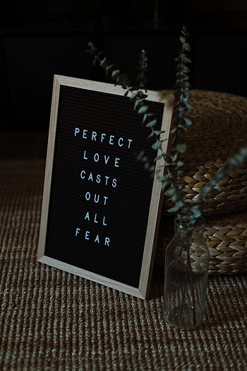 Words, , Inscription, Eucalyptus HD phone wallpaper