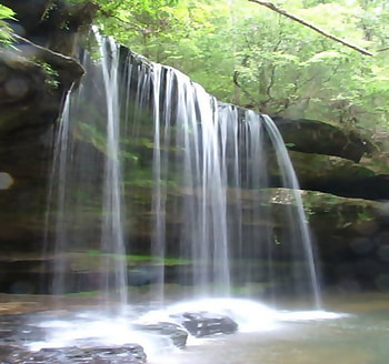 Forest Falls, trees, waterfalls, nature, rocks, forest HD wallpaper