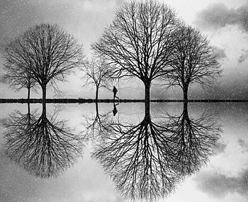 Water, Trees, Reflection, Silhouette, Miscellanea, Miscellaneous, Bw, Chb HD wallpaper