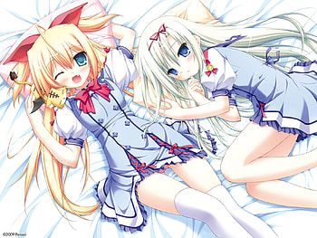 Anime girls, game cg, blue eyes, animal ears, white hair, blonde hair, long hair HD wallpaper