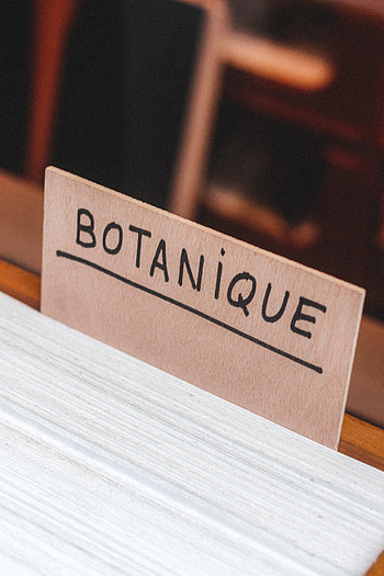 Words, Inscription, Nameplate, Plate, Word, Botany HD phone wallpaper