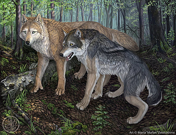 the mates in the woods, werewolves, , woods, wolves HD wallpaper