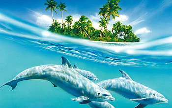 Animals, Trees, Sea, Waves, Palms, Dolphin, Wind HD wallpaper