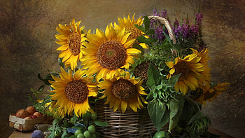 Sunflowers, Flowers, Fruit, Berries HD wallpaper