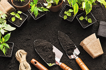 Plants tools herb plant, Cool, Herb plants, Food HD wallpaper