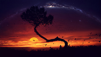 Evening Tree Sunset Digital Art, artist, artwork, digital-art, artstation HD wallpaper