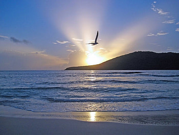 oceans nature, oceans, nature, , sun HD wallpaper