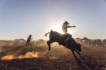 Dallas Fort Worth Metroplex, Rodeo HD wallpaper