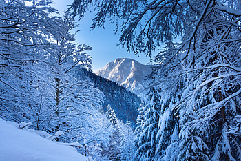 Snow Alps Austria , snow, alps, mountains, nature HD wallpaper