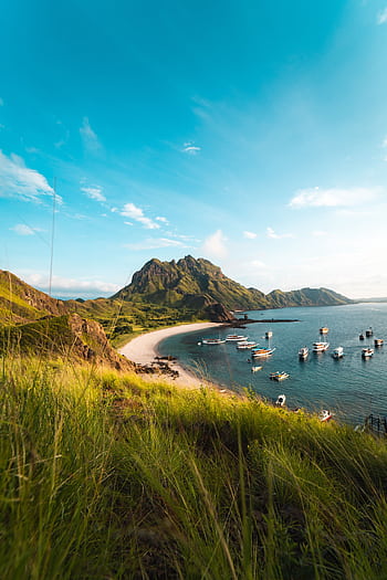 Explore the breathtaking landscape and marine life of Padar Island in East Nusa Tenggara, Indonesia. HD phone wallpaper