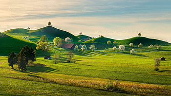 Springtime landscape grassland, Pasture spring highland, Countryside plain, Farm rural HD wallpaper