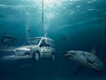 Funny, Auto, Sea, Sharks, Ford HD wallpaper