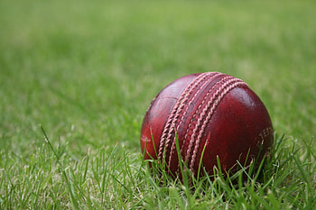 cricket , High-definition cricket, Cricket backgrounds HD wallpaper