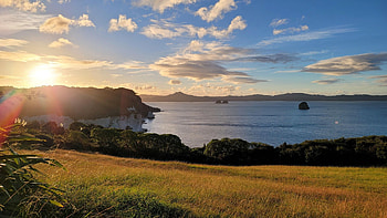 Cathedral Cove in New Zealand, coast, landscape, clouds, trees, sky, sunset HD wallpaper