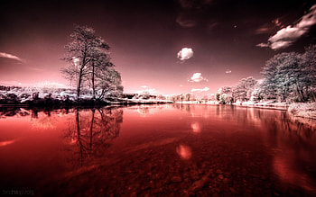 Blood River, nature, blood, river HD wallpaper