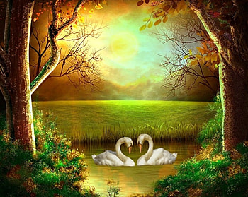 Peaceful Swans, peaceful, beautiful, swans, fantasy, scenic, trees, sky, water, pond HD wallpaper