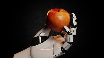Bionic hand, Robots HD wallpaper
