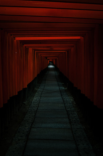 Dark, Tunnel, Passage HD phone wallpaper