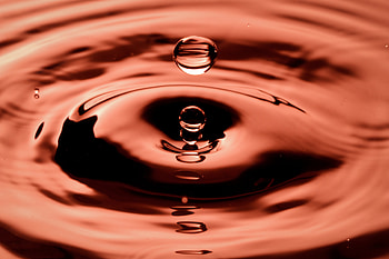 Drops, Macro, Liquid HD wallpaper