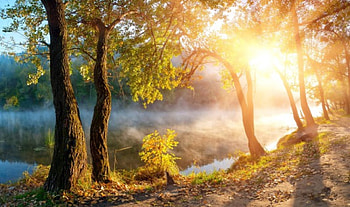 The rays of the sun, trees, Autumn, lake HD wallpaper