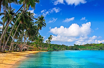 Beach, scenery, trees, sky, nature HD wallpaper