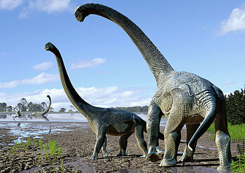 Dinosaur, dinosaur, animals HD wallpaper