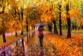 Autumn in the park, umbrella, rain, fall, beautiful, walk, woman, park, trees, autumn, alley, foliage HD wallpaper