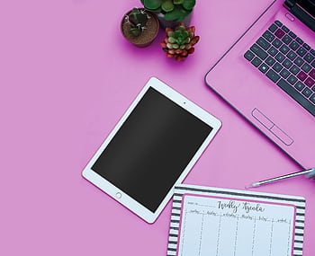 A modern pink-themed workspace setup featuring a tablet, laptop, and succulents. HD wallpaper