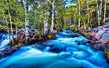 blue-rivers, trees, outdoors, nature, rivers HD wallpaper