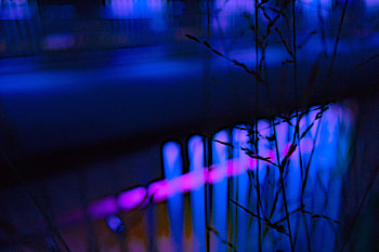 Neon, Grass, Macro, Dark, Shine, Light, Blur, Smooth HD wallpaper