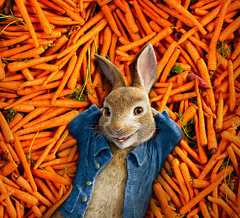 Peter Rabbit 2018 , peter-rabbit, 2018-movies, animated-movies, movies, rabbit HD wallpaper