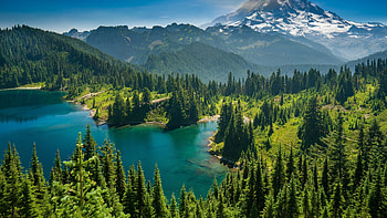 Washington State Travels - National forest, backgrounds HD wallpaper