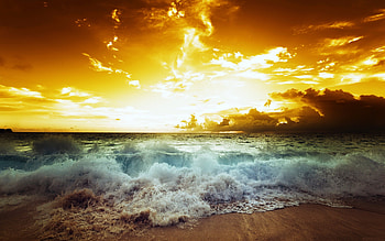 Golden Sunset Beach, sand, water, sunset, beach HD wallpaper